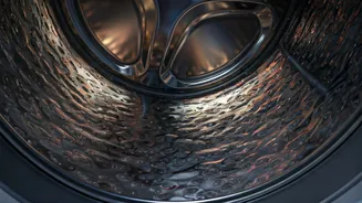 Unveiling Your Washing Machine's Hidden Ecosystem: The Secret to Smelly Clothes