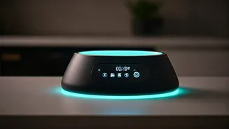 Indian Pet Parents Want Cleaner, Smarter Bowls