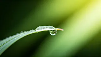 Tara Brach's Wisdom: Unlocking Inner Guidance for Healing and Freedom