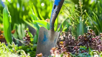 The August Sowing Window Is a Reminder to Review Drainage and Sunlight