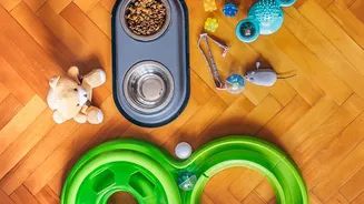 A Pet-Care Brand Is Only as Useful as Its Support System