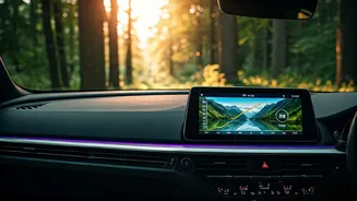 Emotional Wellness: Your Guide to 2026