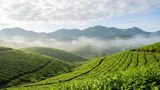 Indian Monsoon Travel: How to Build a Backup Plan Around Rain Alerts