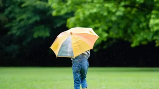 Monsoon Travel: Protect Your Phone, Laptop And Camera From Rain