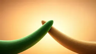 Build Up, Not Down: Sister Shivani's Guide to Stronger Relationships