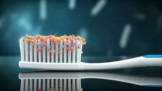 Unveiling the Hidden World of Your Toothbrush
