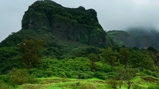 Bangalore To Agumbe Monsoon Driving Tips: Explore Rainforest Photography Spots Safely