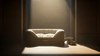 Why Quiet Luxury Pet Stays Are Trending Now