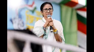 'EVMs Rigged, Votes Looted': Mamata Banerjee's Big Charge As BJP Crushes TMC In Falta