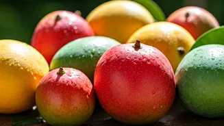Score Free Samples At Delhi’s Massive Viral Mango Festival