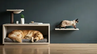 Barkitecture Makes Homes Feel More Family-Friendly