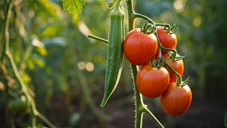 Grow Seasonal Veggies With Minimal Effort