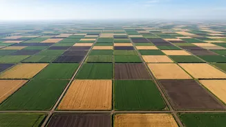How Satellite Data Could Help Predict Food Supply Problems