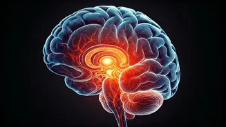 Boost Your Well-being: A Comprehensive Health Guide