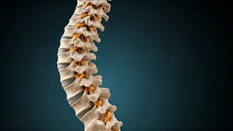 Fitness Fix: Mastering Posture and Body Mechanics