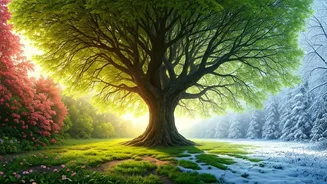 Live Better With Seasonal Habits
