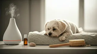 Is Your Dog Stressed? Try These Luxury Aromatherapy Spa Packages
