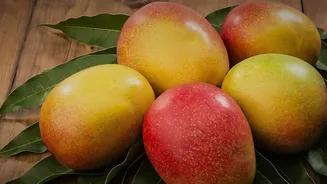 Karnataka Uses Air Freight to Test a Longer Mango Shipping Season