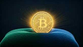 Related Stories banner