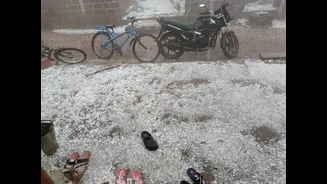 Hailstorms lash Himachal, Punjab, MP; IMD warns of fresh western disturbance from Jan 30