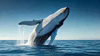 5 Largest Animals in History: Giants!