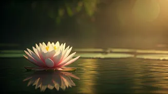 Enchanting Sanskrit Baby Names for Girls: A Blend of Tradition and Modern Grace