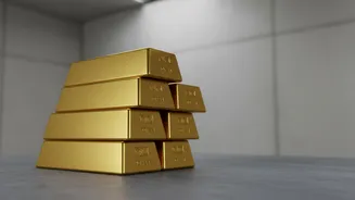Gold Mutual Funds vs Sovereign Gold Bonds Best Picks For Young Investors