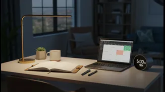 Night Owls Still Benefit From A More Predictable Daily Schedule