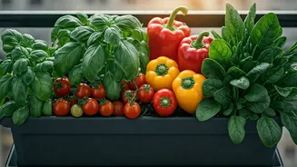 Balcony Bounty: Grow 8 Easy Summer Vegetables in Pots