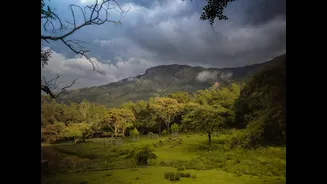 Tamil Nadu to Witness Normal Northeast Monsoon Despite El Nino