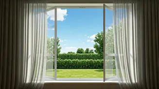 Summer Window Wisdom: Master Your Home's Climate This Season