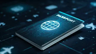Visa Checks Have Entered Overseas Travel Planning
