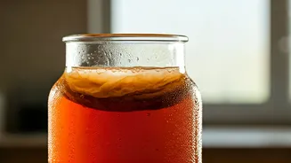 Why Your Gut Needs Home-Fermented Kanji Or Kombucha Now
