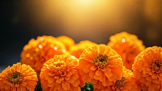 Get Glowing Skin This Diwali: 5 Simple Tips