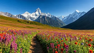 Uttarakhand's Flower Trek Is Worth Planning Properly