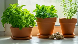 Related Stories banner