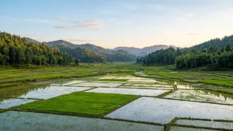 Remote Work Destinations: Ziro Valley Workation Stays For Arunachal Music Festival Lovers