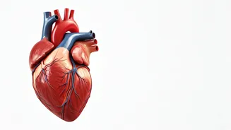 Exercise Can Lower Blood Pressure in Minutes