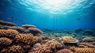 Tamil Nadu's 61-Day Fishing Ban: Protecting Marine Life from April 15, 2026