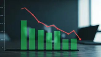 Indosolar's Dip: Decoding Q3 Earnings & CFO Shift