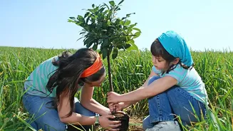 Rainy Season Plant Care: Protect Roots From Excess Moisture