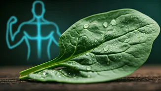 Related Stories banner