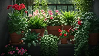Turn Concrete Spaces Into Green Escapes