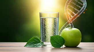 10 Instant Daily Habits for a Healthier You: World Health Day 2026 Guide