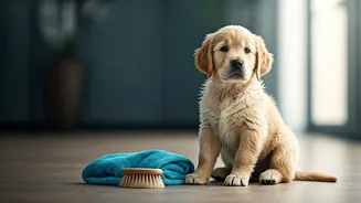 Monsoon Pet Care Starts With Dry Coats