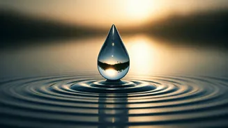 Inner Peace Amidst Unfairness: Bhagavad Gita's Wisdom on Maintaining Calm