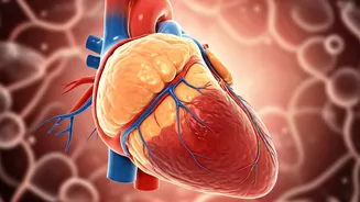 Unveiling the Hidden Heart Benefits of a Unique Fat