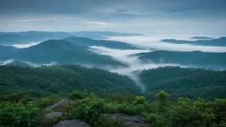 Why Shillong Workations Offer The Ultimate Rainy Season Escape For Remote Workers