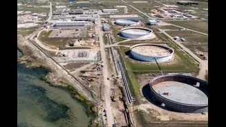 Related Stories banner