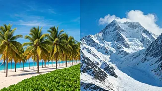 El Niño Worries Are Changing Travel Behaviour Now